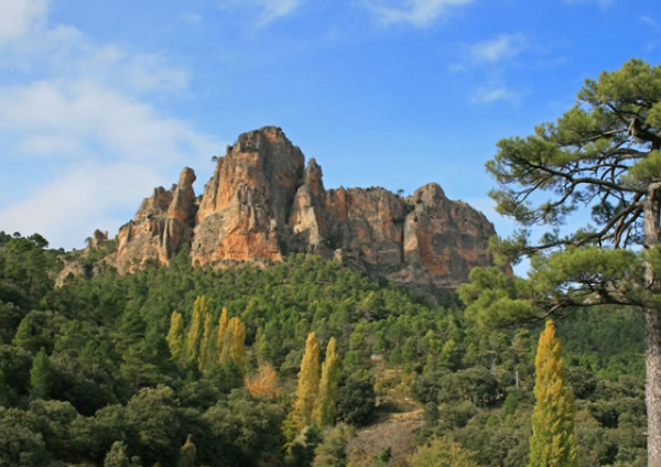 QuebrantaPNCazo's tweet photo. El otoño es el mejor momento para darse un baño de naturaleza. Puedes empezar por la ruta del río Madera, un sendero para disfrutar de algunos de los mejores pinares de laricio de España. https://t.co/jVTYGlXdFO @dipujaen #turismoactivo #JaénDestinoAventura #turismorural https://t.co/QiTphp3lvO