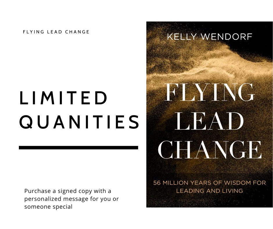 Kelly Wendorf tweet media