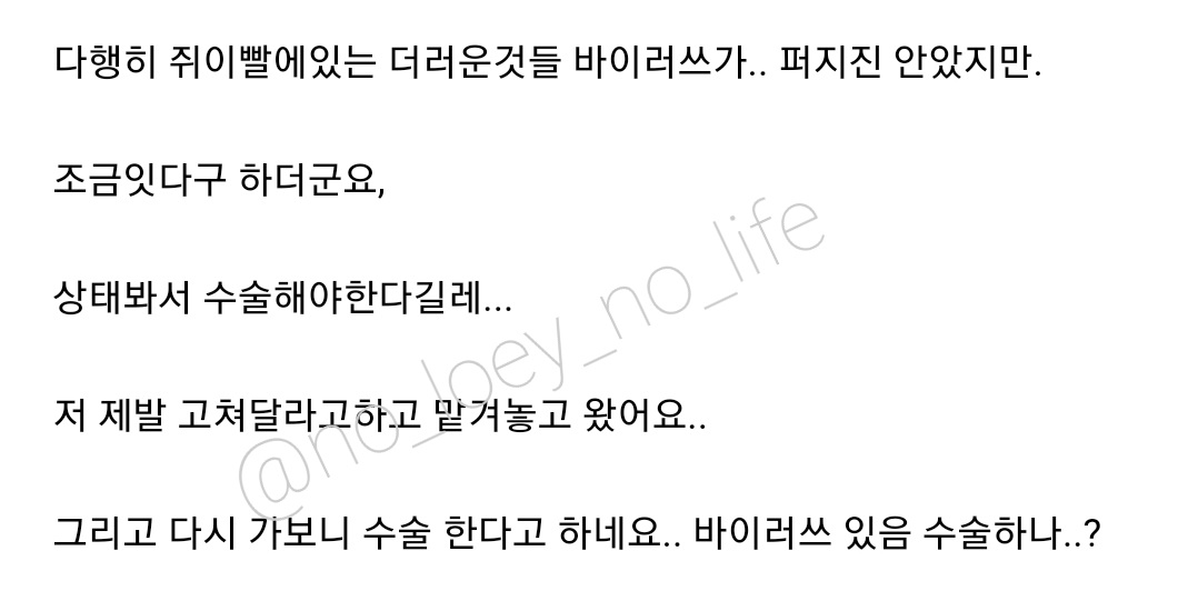 Fortunately, the virus on the rat's teeth didn't spread.But there's a little bit left so he said he has to operate on the puppy...I begged him to fix it & left it to him..When I went back, he said they will do the surgery.Do you operate when there's virus? #CHANYEOL  #찬열