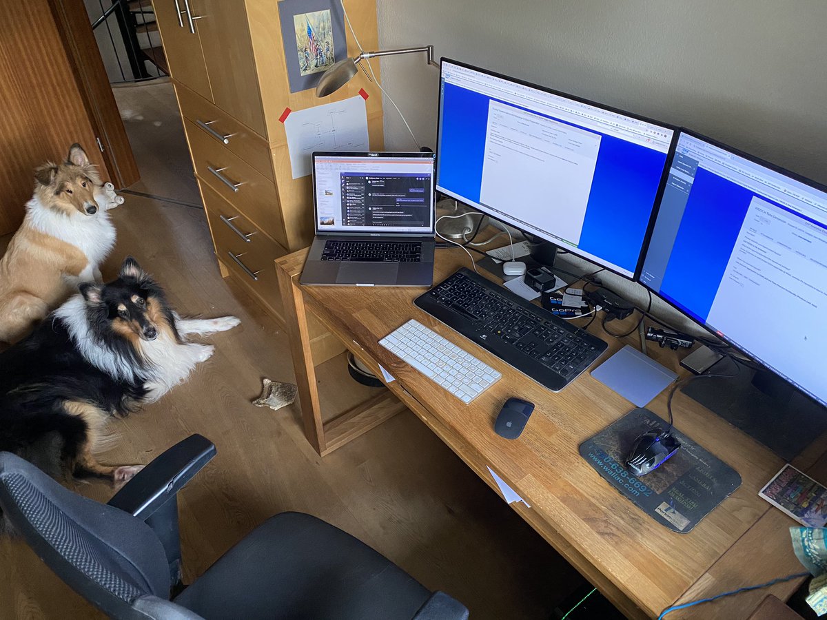 David H Stocker tweet media