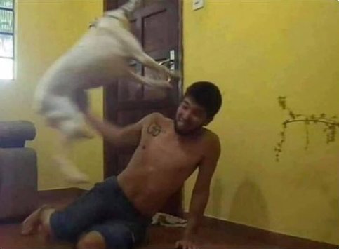 Yo: Basta, ya no quiero jugar
Mi perro: