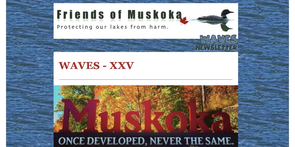 WAVES - XXV - mailchi.mp/121a19f8aa95/w…