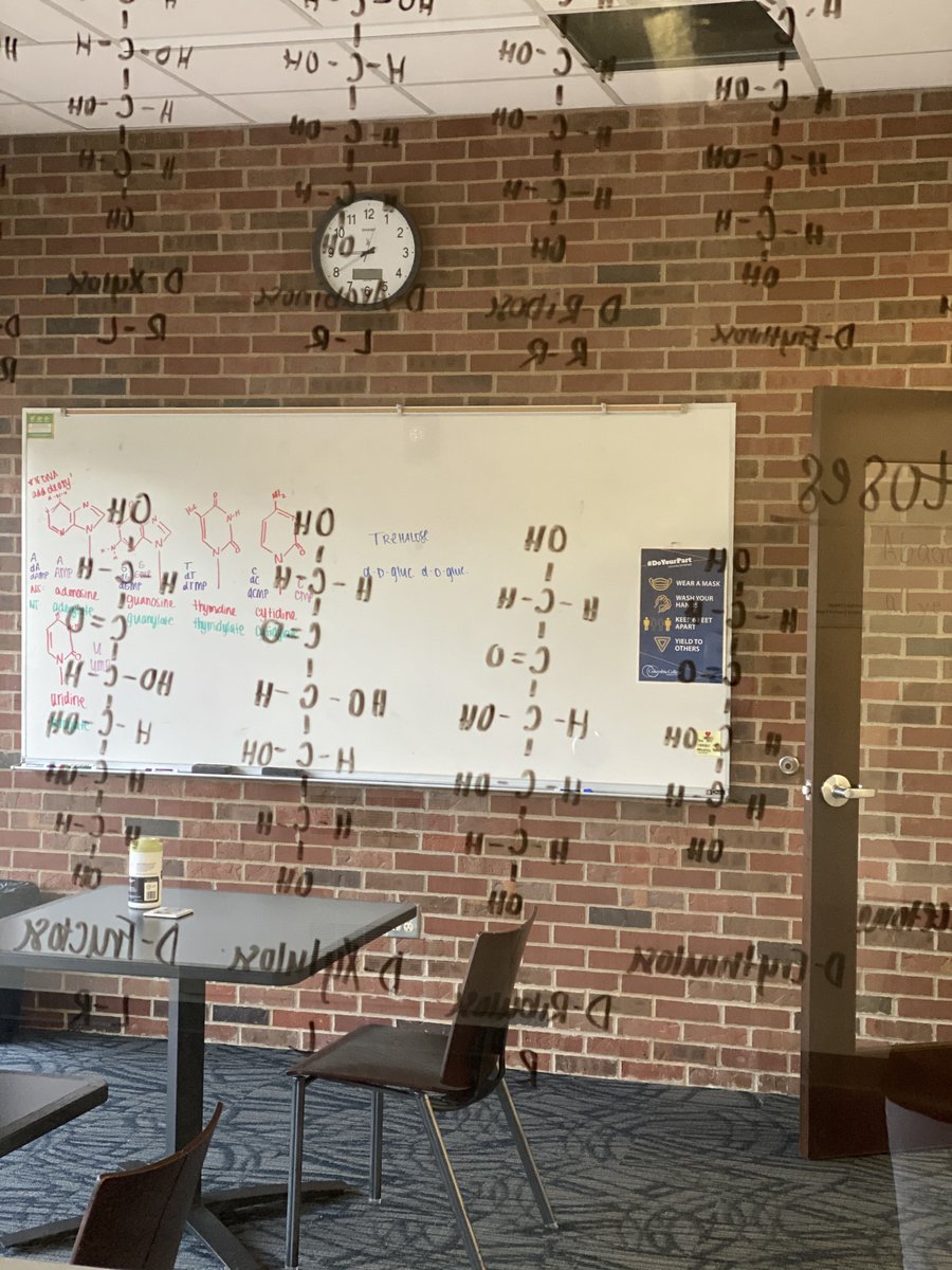 ColumbiaColg's tweet photo. Looking for a place to study? CC has quiet spots all over campus that range from private study rooms in the library or academic buildings to more open spaces like the student commons!
Where’s your favorite spot?
#WeAreCC #GetStudying #MidtermsWeek https://t.co/bQhWLdCoL6