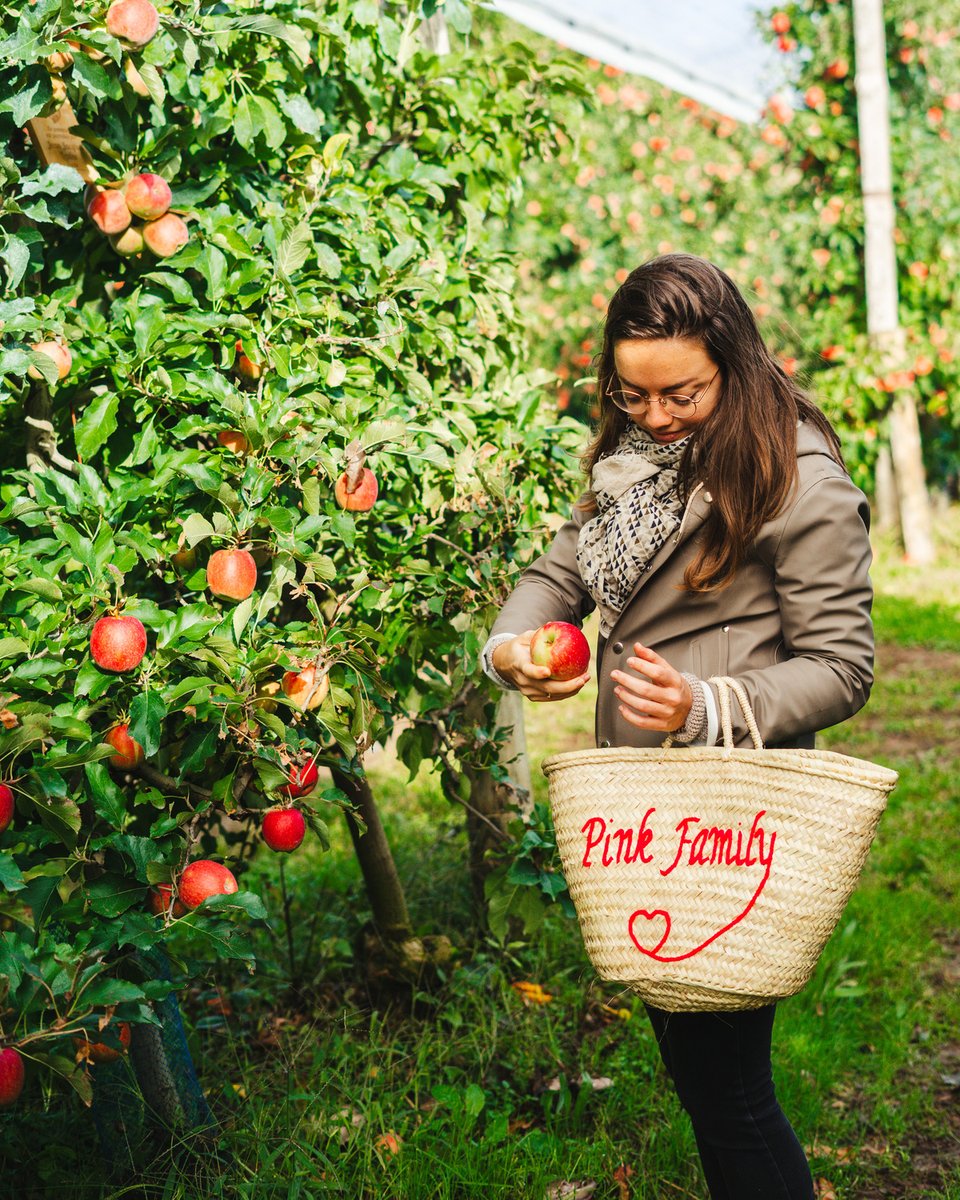 Pink Lady® tweet media