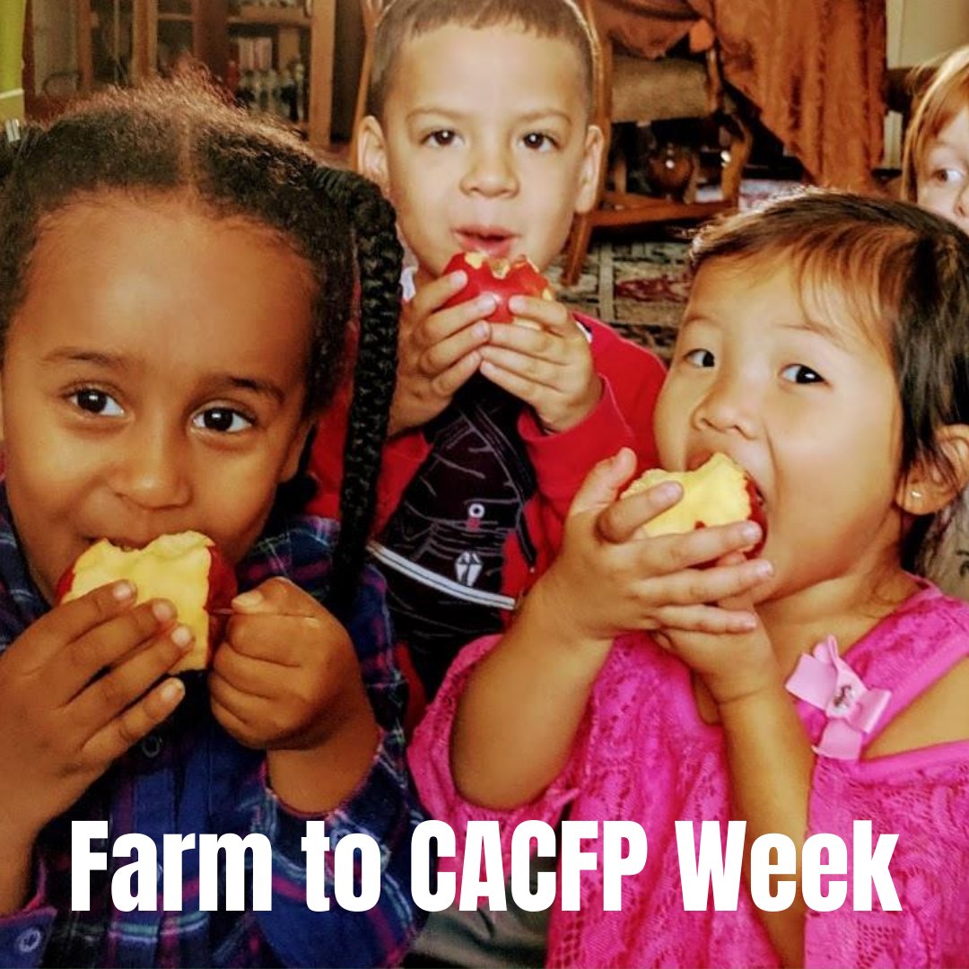 CACFPVirginia's tweet photo. Keep the #VAFarmtoCACFP celebration going! Farm to CACFP expands healthy food access, promotes community and family engagement, and provides market opportunities. Learn more about what our program does year round: https://t.co/pf5W0UXKox #VACACFP https://t.co/5ISKPBWCqn