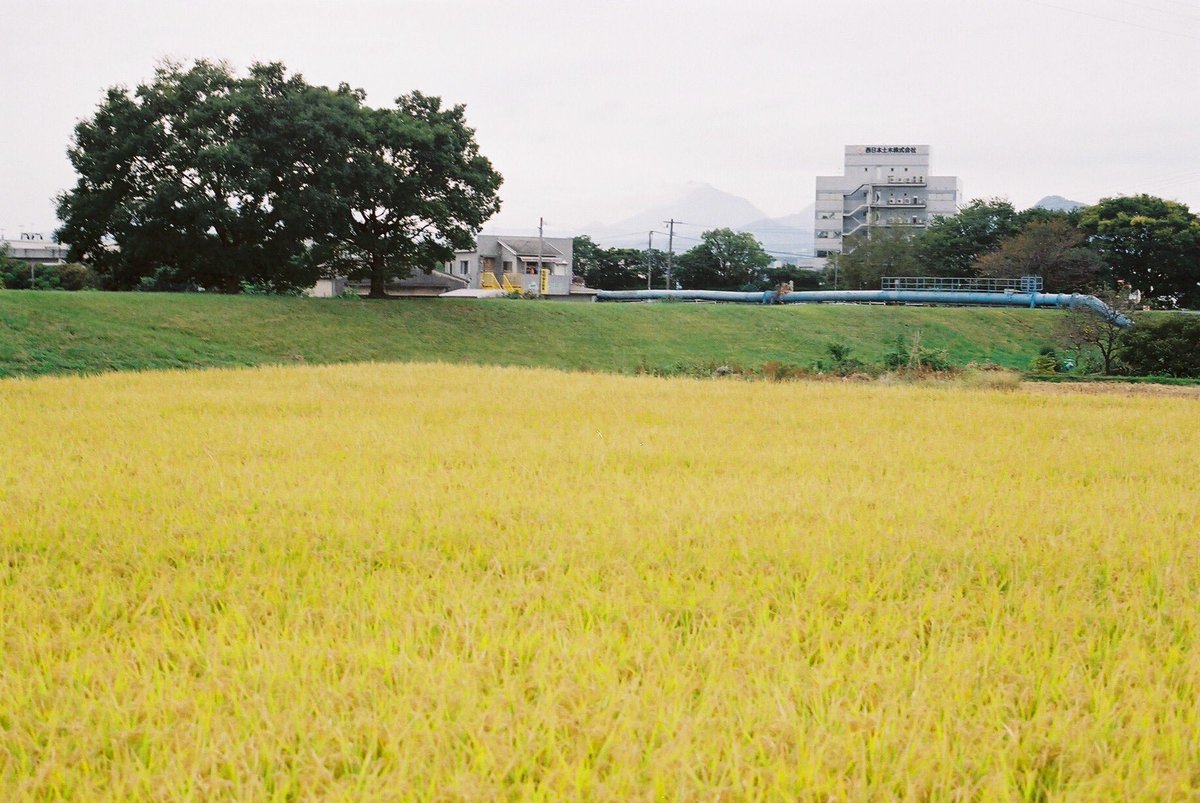 kg_hyp's tweet photo. aki
.
#フィルムカメラ #フィルム写真
#filmphotography #film
#ファインダー越しの私の世界
#OLYMPUS #om2sp
#35mm https://t.co/y2zAHwrwch