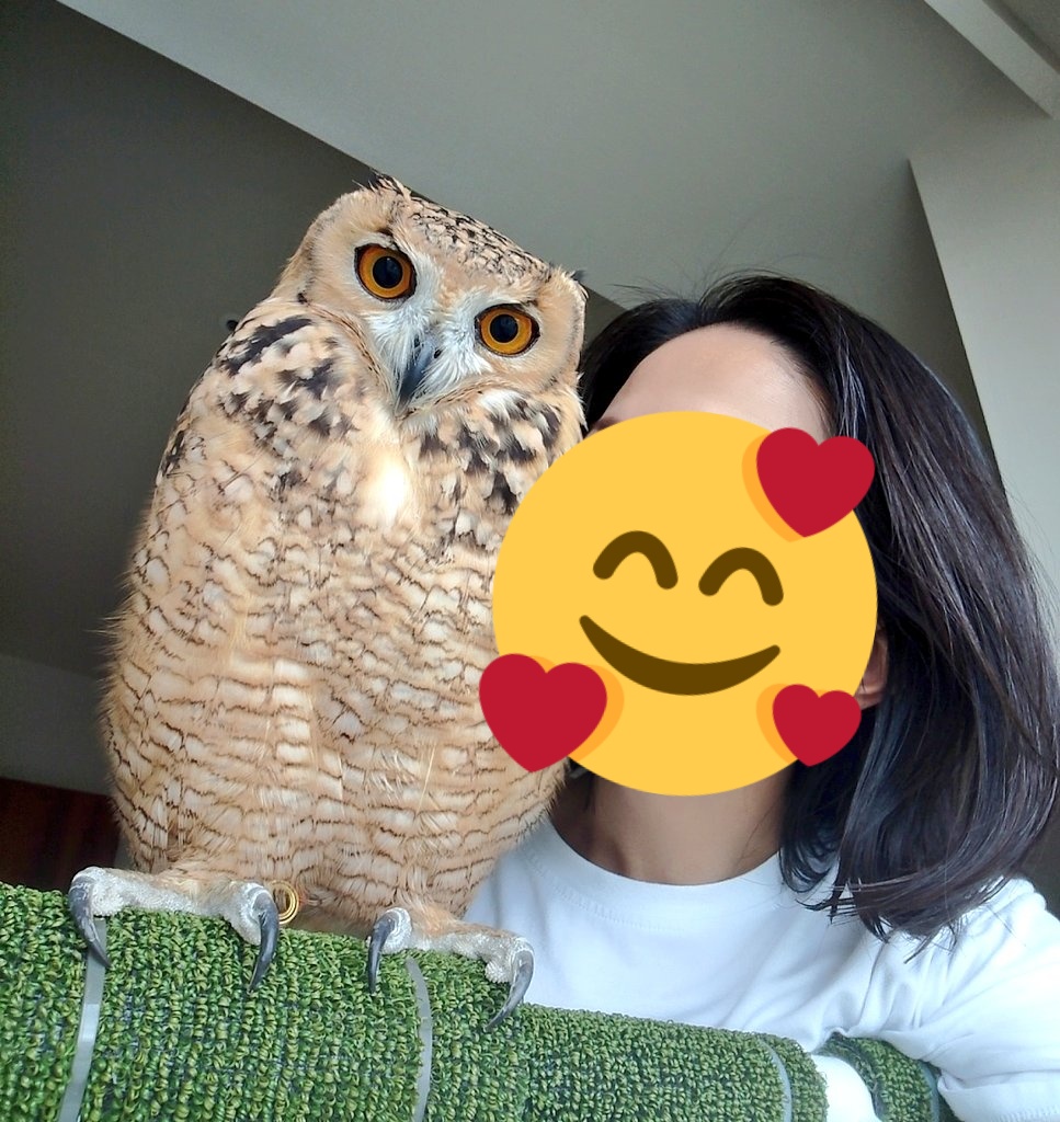 ハリー ポッターと賢者の石