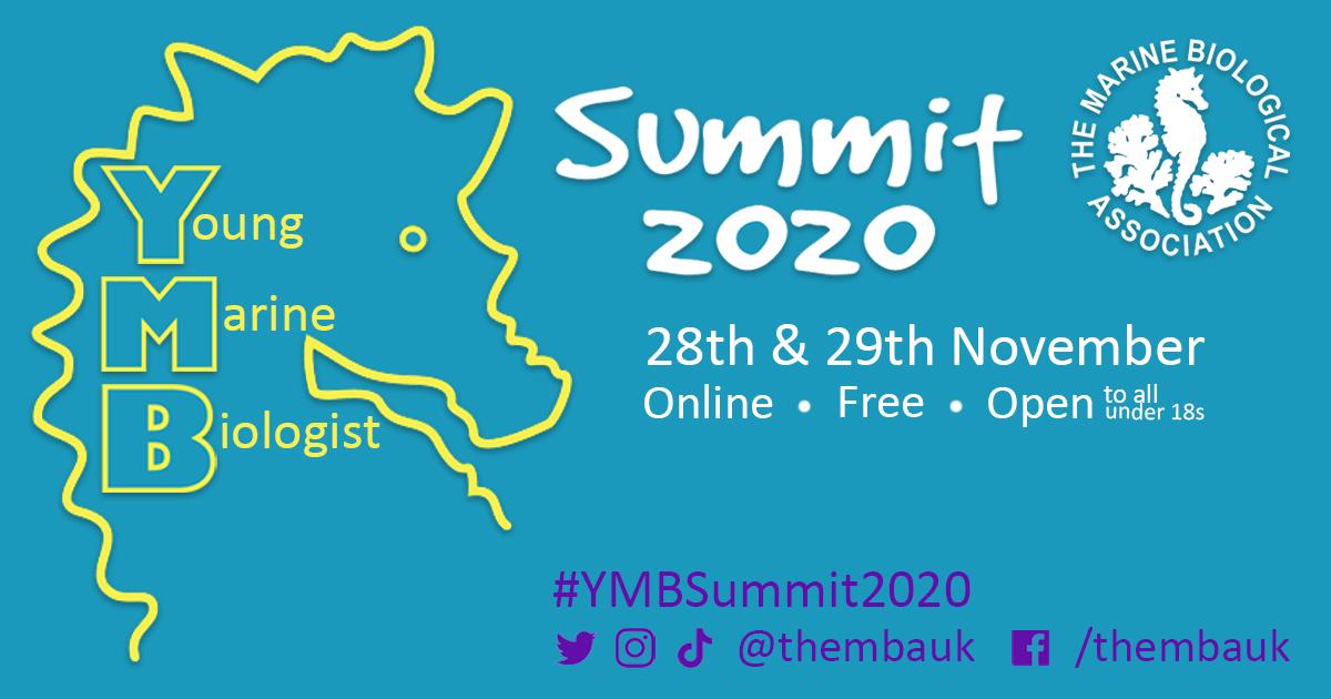 Announcing the MBA's 4th Young Marine Biologist Summit - happening virtually on the 28th &amp; 29th of November! We have an AMAZING line up of speakers confirmed. Keep an eye out for more info over the half term... #YMBSummit2020 #WhoCouldItBe

Book here👉eventbrite.co.uk/e/ymb-summit-2…