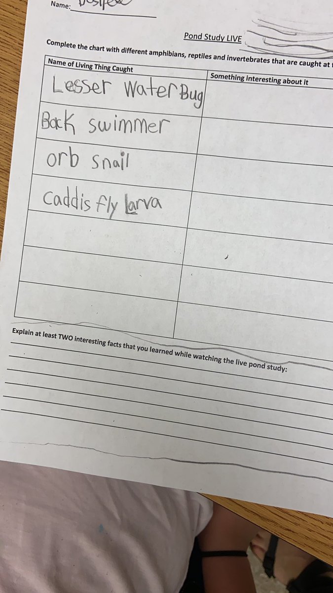 Ms_Pownall's tweet photo. 5/6 B is super excited to learn about all the cool creatures you can find in a pond! Thanks @outdoor_ed this is awesome!! https://t.co/jSv9QYg5K8