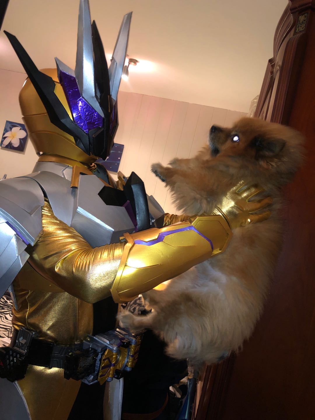 コスプレスーツ職人 corpseZX尸体君 on X: 