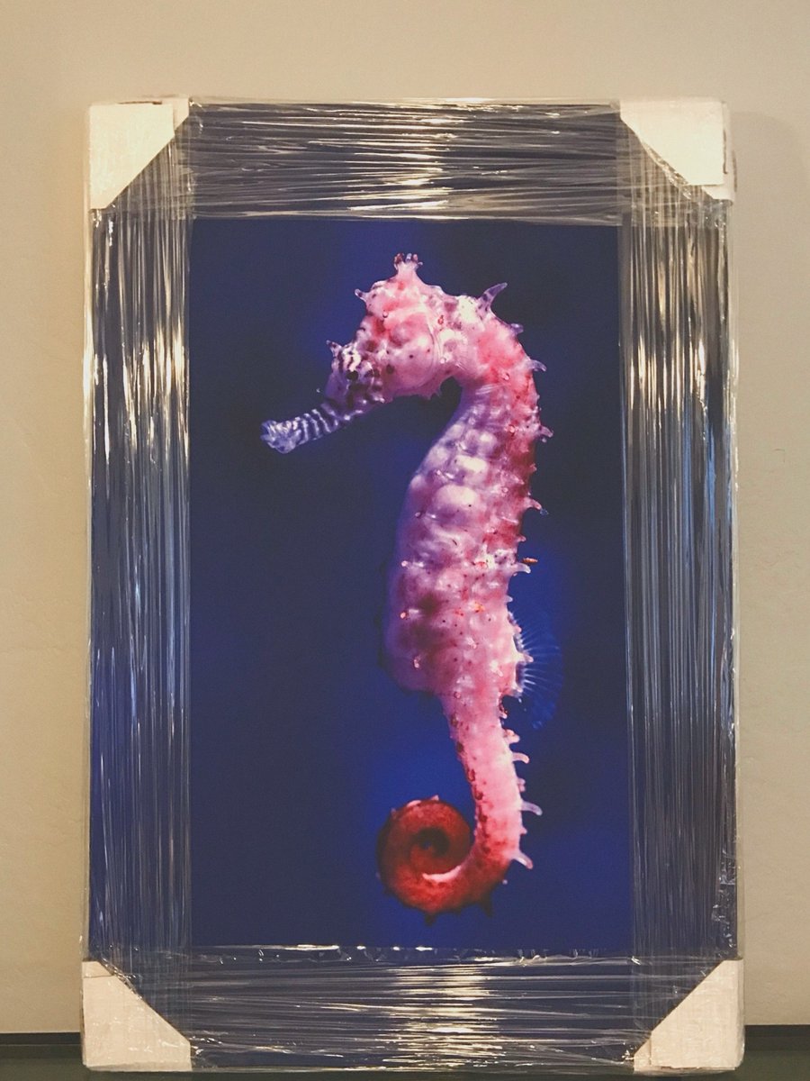 This guy has proven to be popular. It's on hand stretched canvass, 24x36 and sells for $100. It's ready to hung on your wall. For details DM me. https://t.co/UrUV8rUmYn