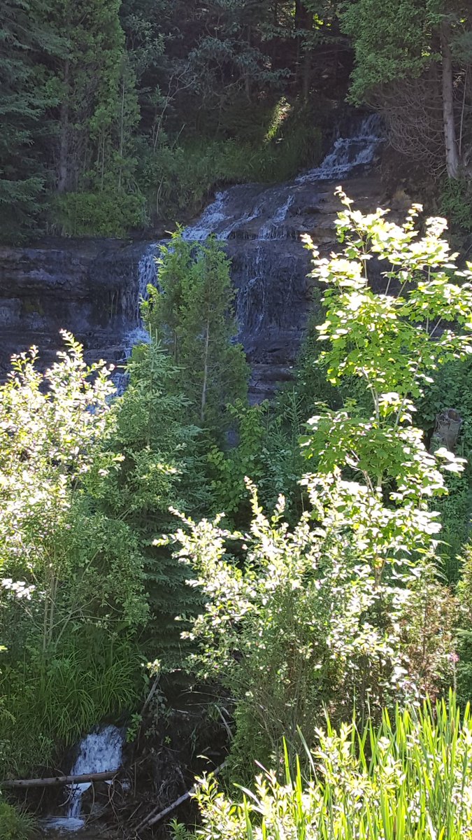 Harley_O1's tweet image. #PureMichigan 
#NotPrison