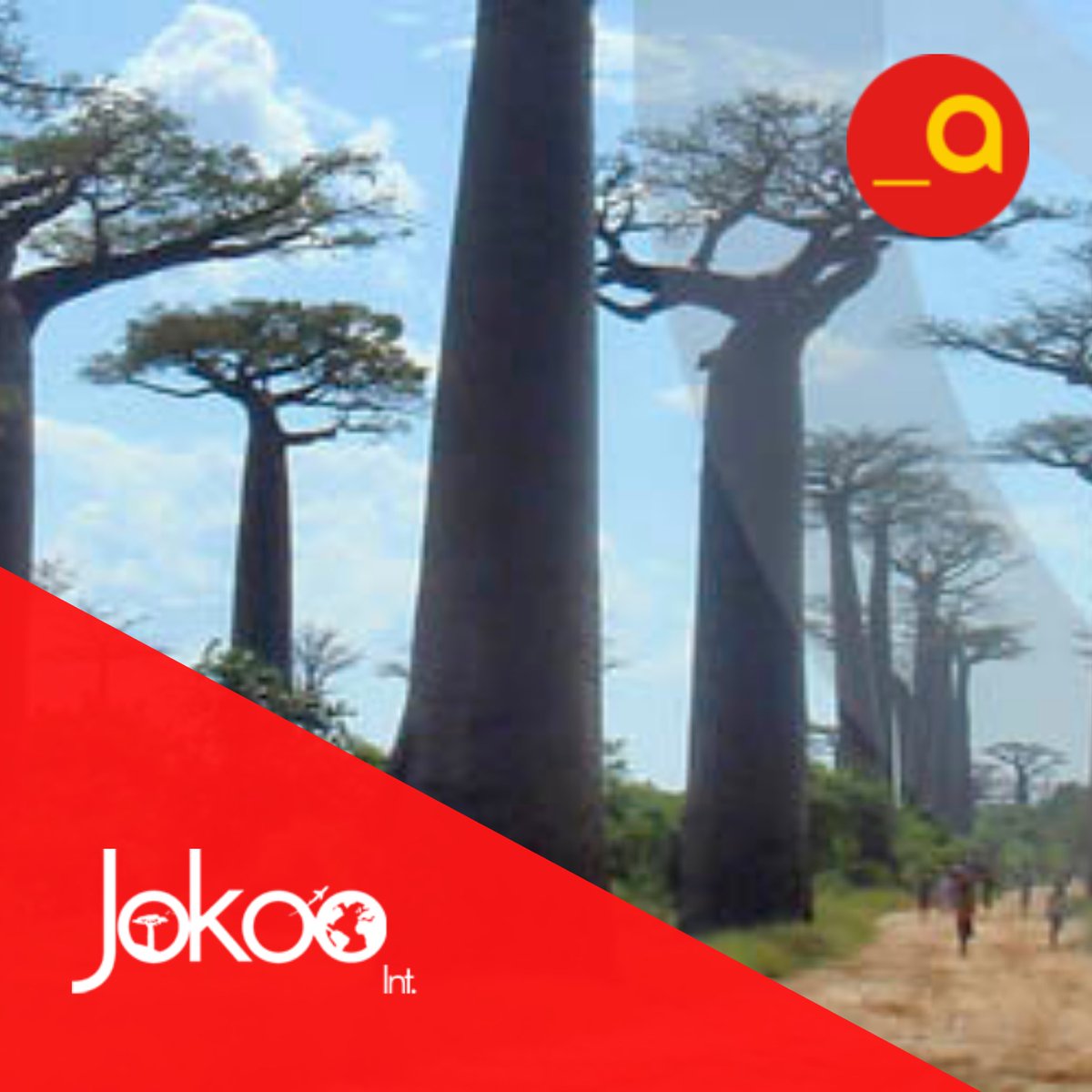 Icex_Alumni's tweet image. En @icexalumni tenemos el placer de contar con el apoyo de expertos en distintas áreas que nos ayudan a crecer en nuestros sectores, uno de ellos es nuestro patrocinador Jokoo 🌍 Consultores de internacionalización especializados en Africa Occidental,
#serbecarioicex #icexalumni