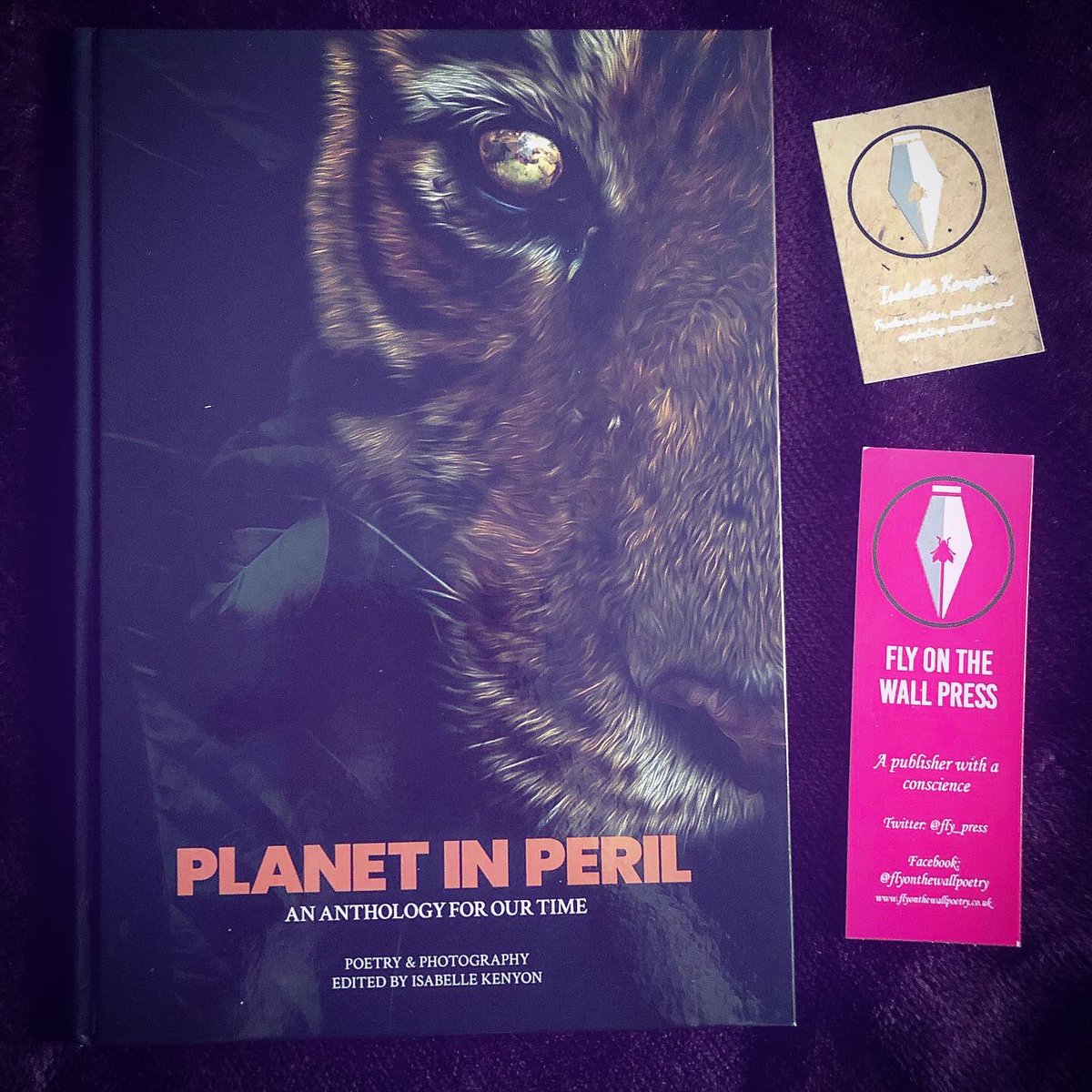 BunnysPause's tweet photo. Yay! My gorgeous copy of Planet In Peril An Anthology For Our Time @fly_press arrived today! It’s beautiful, filled with breathtaking poetry and stunning photos🖤🐯20% of all profits from this book go to @TheCCoalition and @WWF 🌍 🐼 #planetinperil #poetryanthology https://t.co/YPbbPWCRCS