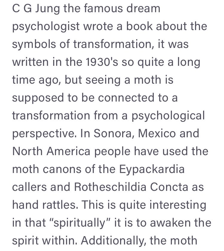 was wondering since the release of the project why MOTH was the chosen symbol for their brand, and if it really is a queer coded brand this symbolism is quite interesting; moth represents transformation.  #MOTHxGULF