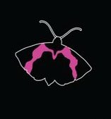 was wondering since the release of the project why MOTH was the chosen symbol for their brand, and if it really is a queer coded brand this symbolism is quite interesting; moth represents transformation.  #MOTHxGULF