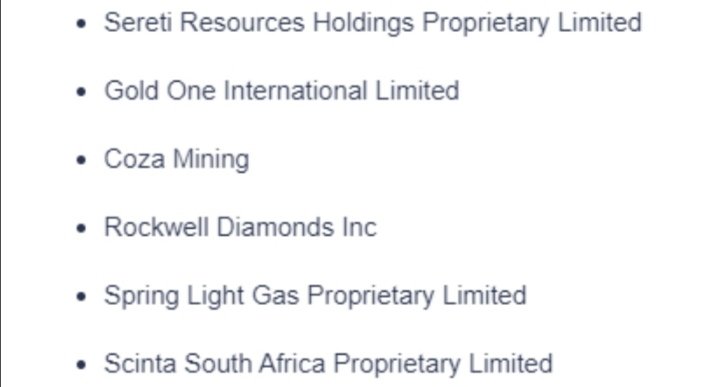 Zungu Investments has interests in Private Equity investments, Mining and Energy, Manufacturing and Engineering, Education, Property, Risk Services and Gaming The company also has shares in a few other companies that deal with minerals