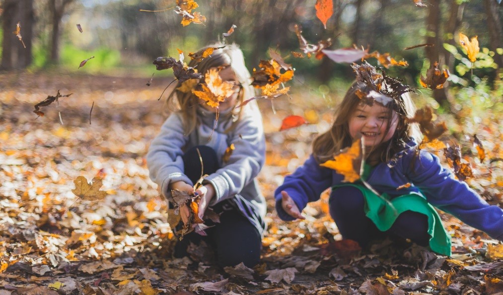 FREE #halfterm #autumn fun with #WEA: get active with a scavenger hunt. Get creative with a collage activity. Get imaginative with stories &amp; poems. For kids aged 5-10 +parents. Book at: bit.ly/3jorVq7 28/10 from 10am-noon <a href="/WhatsOnSurrey/">What's On Surrey</a> <a href="/whatsoninepsom/">What's On in Epsom</a> <a href="/WOIBanstead/">Whats On In Banstead</a>