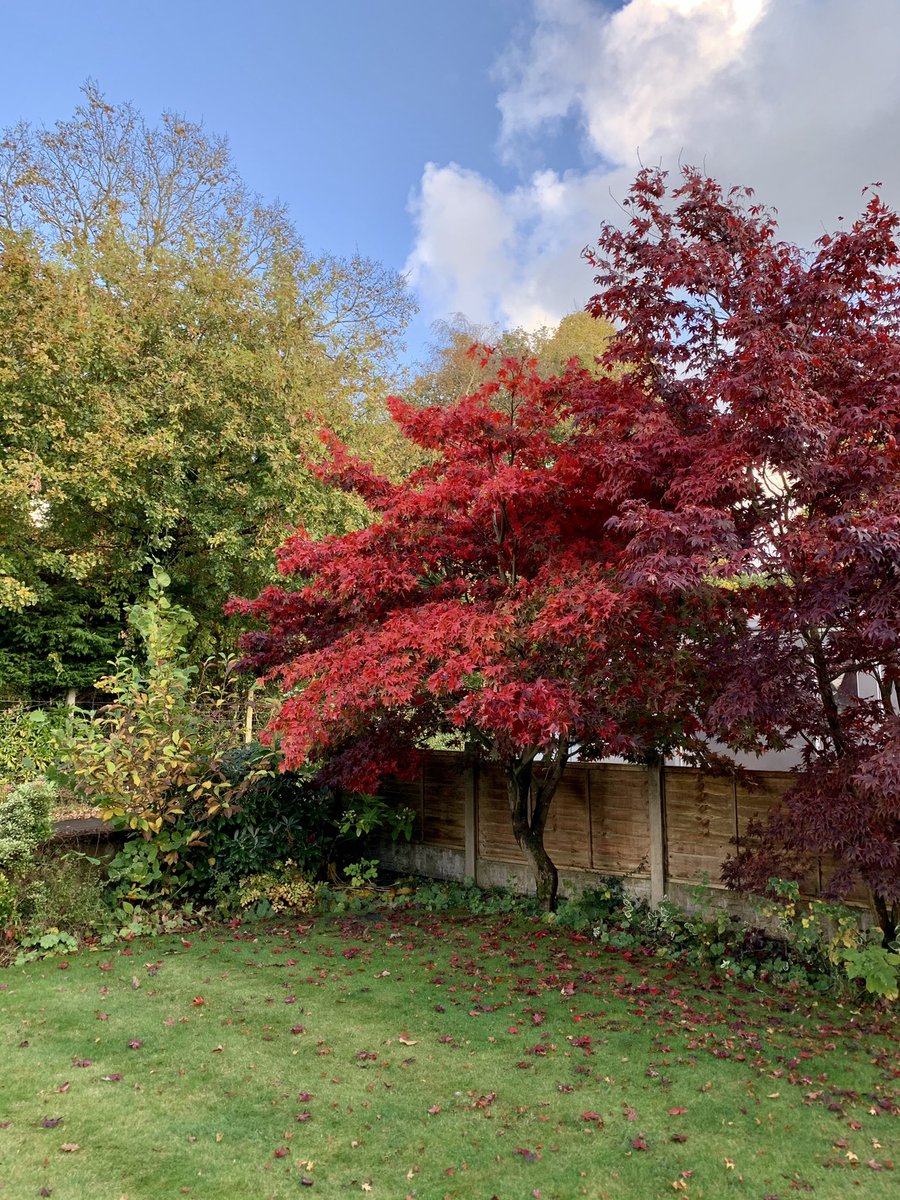 Bill gregory tweet media