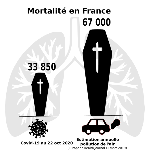 velopole's tweet photo. Mi octobre: le virus atteint la moitié de la #mortalité de la #pollution de l'air.
#covid19: 33850
Moyenne annuelle de la pollution de l'air: 67000
#pollutionpunitive
#sauvezdesvies
#laissezlaaugarage https://t.co/S17HMUpkkS