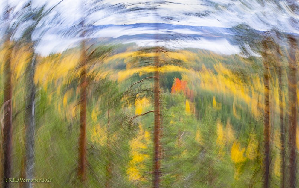 UVornanen's tweet photo. Friday rotation directly towards the #weekend 😉

Perjantaipyöräytys suoraan kohti #viikonloppu’a 😉

#ruska #luonto #maisema #kameraleikkejä #fallcolors #nature #landscape #creativecamera https://t.co/m23XHcNUx3