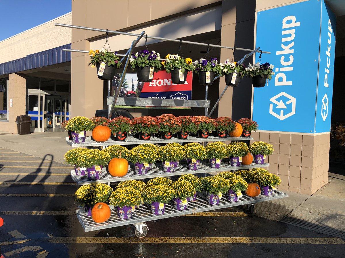JukesinTN's tweet photo. Greeneville TN, Lowe’s 1202 had a very colorful display for the first night of trunk or treat!!  Beautiful mums and pansies for fall decorating!!  Stop by.  @PlantPartners@sratarsky#fall,#mums https://t.co/LwGIQmI7CF