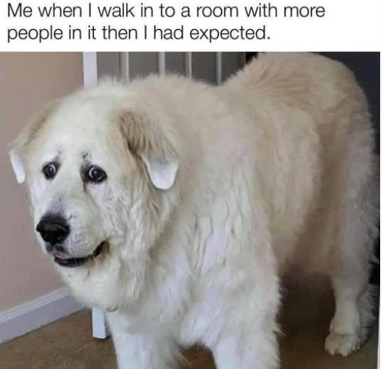 rodryanshow's tweet photo. oof. 

not woof. https://t.co/e5JBfbLJXn
