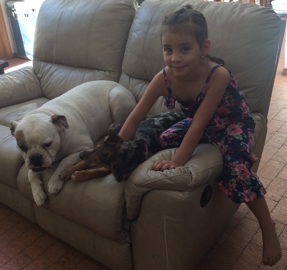 ChamizaConejos's tweet photo. Check out all the spirit Giada showed this week!!! Unicorn 🦄 pjs! How tight she is with her pups! Strengthening those muscles 💪 And showing off her creative side!!! Way to go!!! Can’t wait to see what you have for Conejo’s Pride Day! #VirtualSpiritWeek2020 https://t.co/cSjNGyCDQh