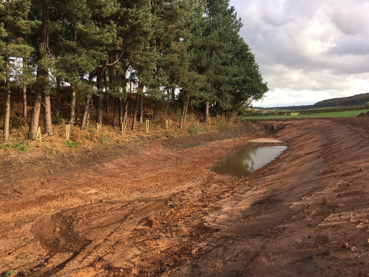 PhilLatham's tweet photo. Another project nearly done, little bit of tidying to do &amp; a fence but ground needs to dry out first. Happy newt home filling up nicely after today’s showers.  From not much to hopefully a great new habitat. Blimin farmers, wrecking the place again. #newts #homesweetnewthome https://t.co/uoj00cys2d