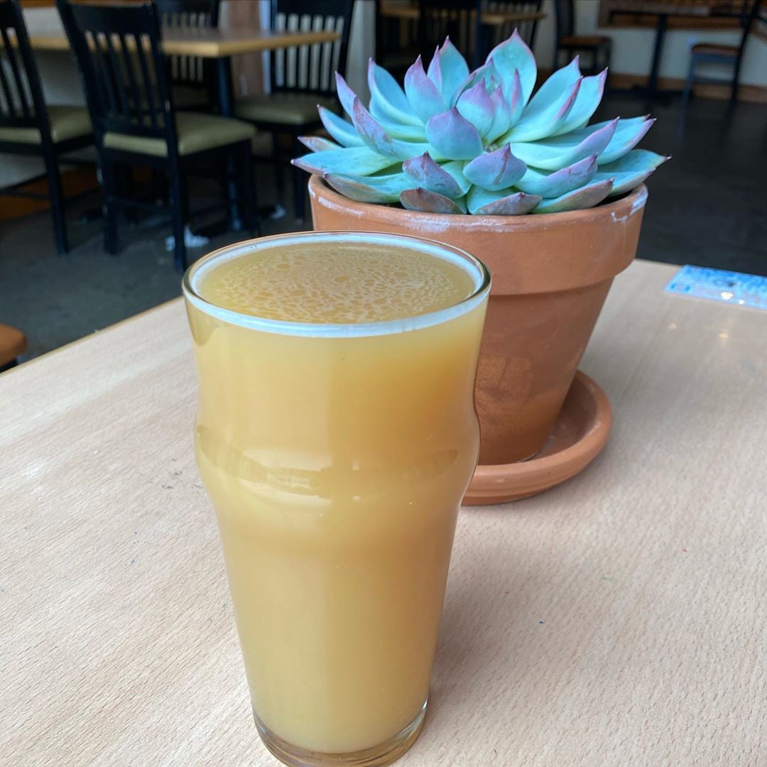 Let’s take a tropical vacation! “Pineapple Hazy” New England style IPA is now on tap. Made with love from our hardworking brewers! with tropical and citrus notes, pineapple and stone fruit hops! See you at the pub for a pint!
#olympia #craftbeer #local #since1993 #specialrelease