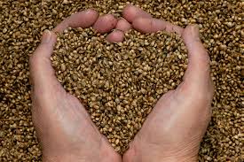 HempActnLeague's tweet photo. "Fueled by widespread acceptance and removal of regulations, the hemp and cannabis industries are growing rapidly across the globe."
#Hemp #cbd #cbdoil #hempoil #cbdhealth #industrialhemp #HempLife #HempFuture #HempLand #HempActionLeague https://t.co/9QU6Tw3VTQ