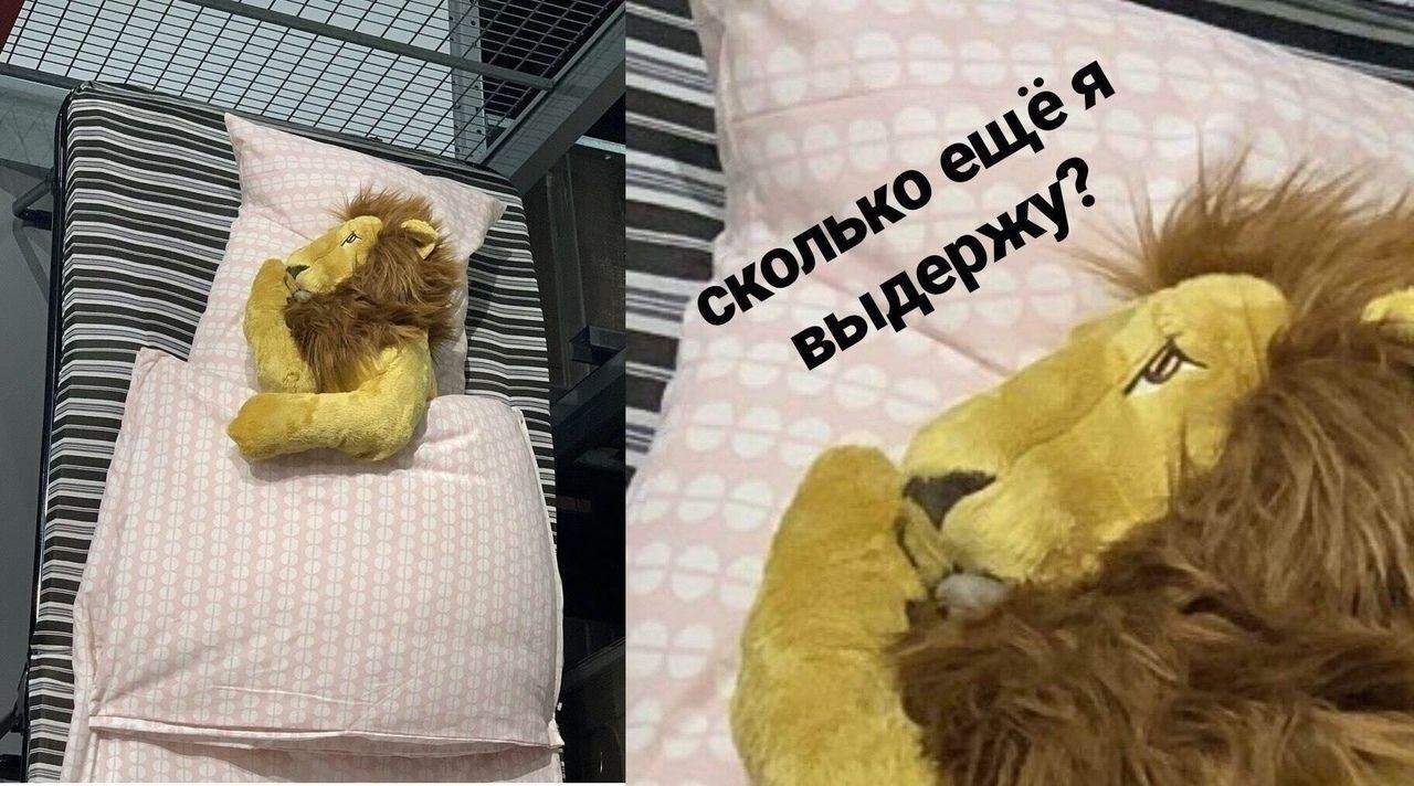 ElBXWq9XgAMyMSy?format=jpg&name=large