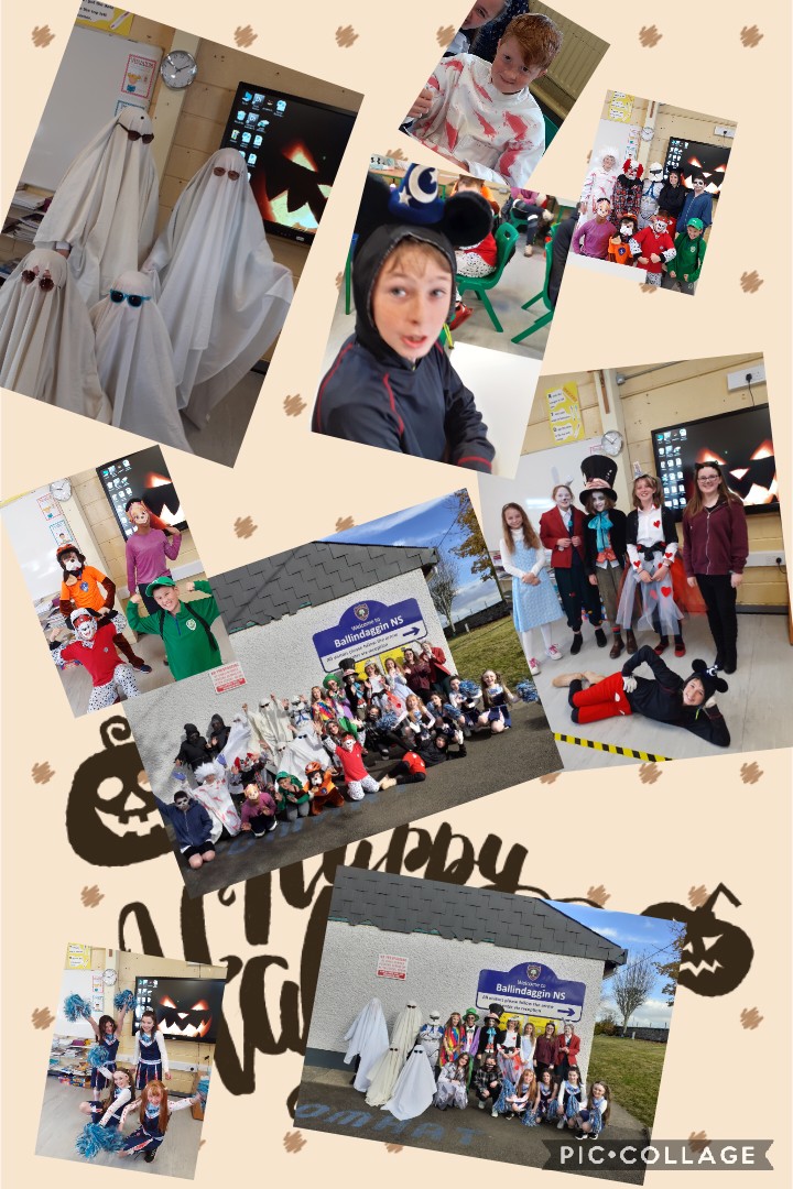 StColmans_NS's tweet photo. A few snaps from 6th class today https://t.co/OyxcTsrQO7