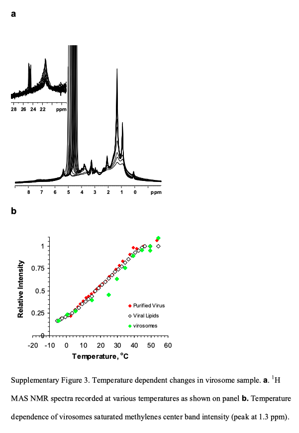 (4) Virosomes appear to shield characteristic bond spectra of the underlying virus.