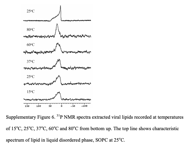 (4) Virosomes appear to shield characteristic bond spectra of the underlying virus.