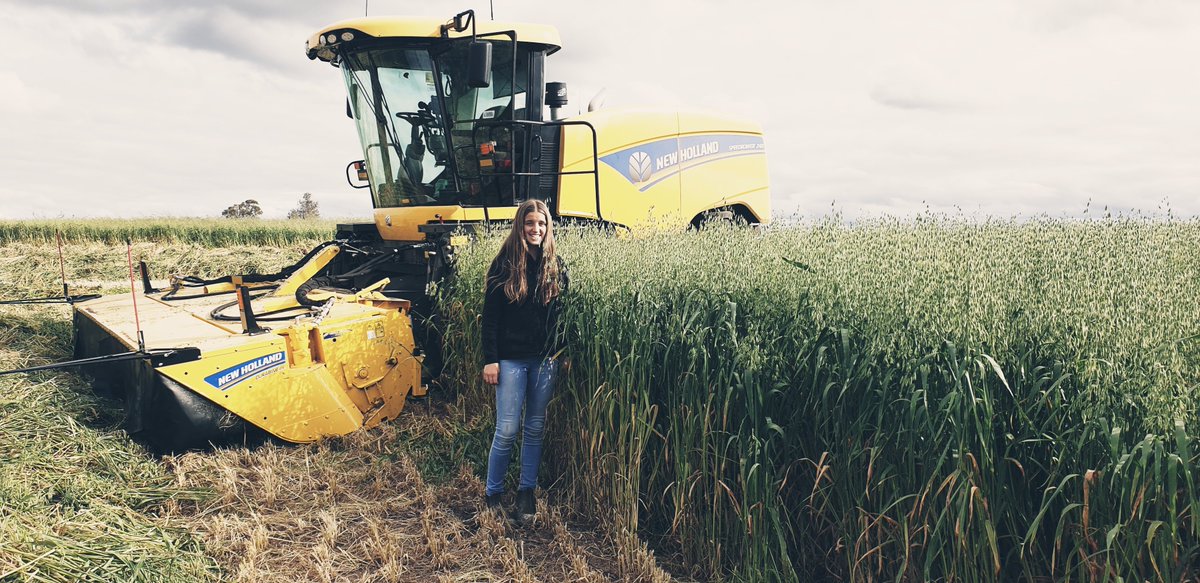 Erin Emin tweet media