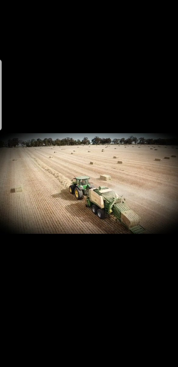 Erin Emin tweet media