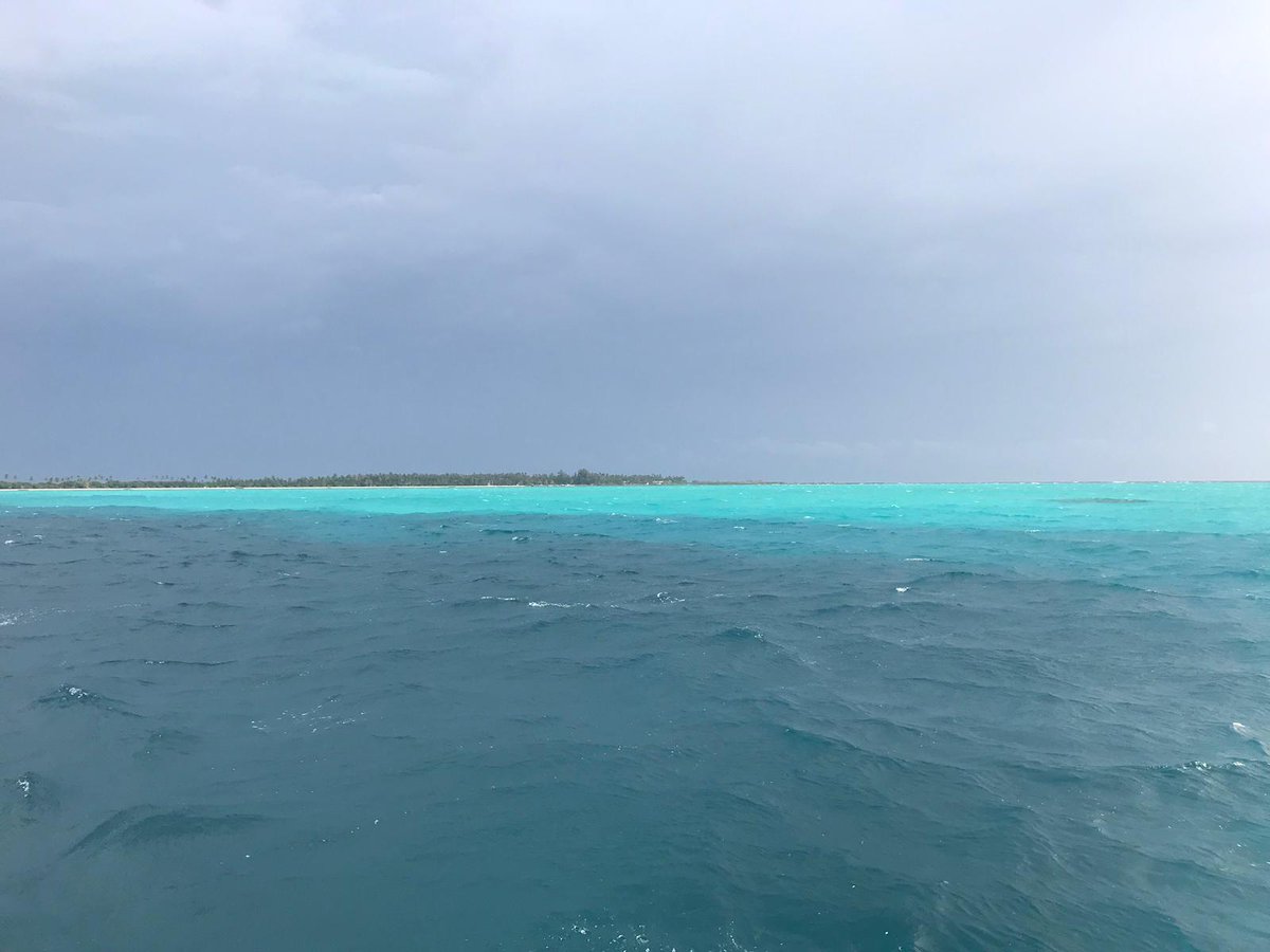 Maldives Specialist Travel Agent. tweet media