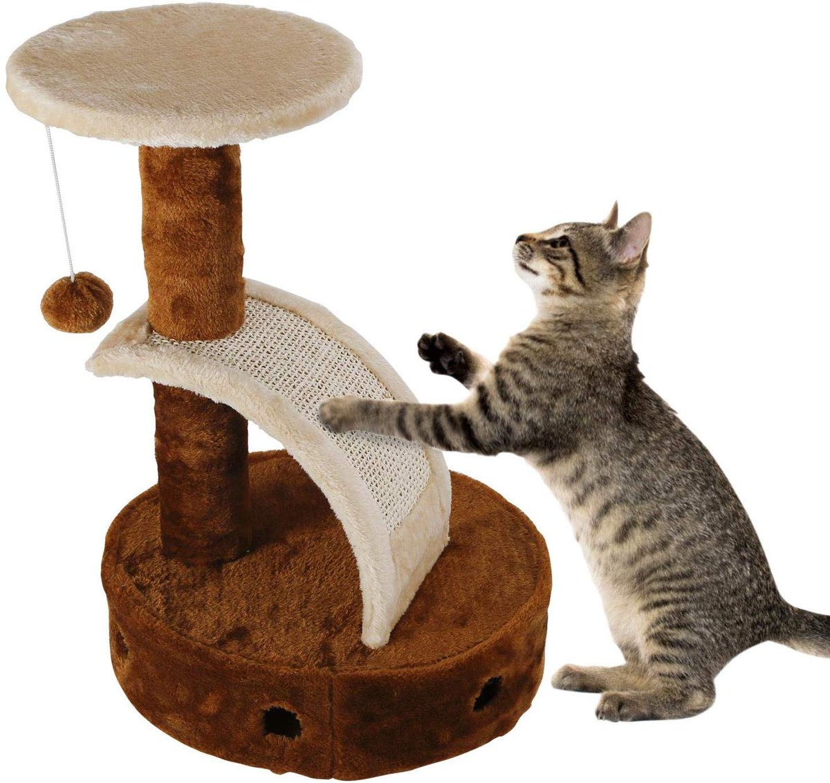 CapuyB's tweet photo. 📌 #Rascarse es necesario para la salud de su #gato; así es como quitan la vaina exterior de sus garras, marcan su territorio tanto visualmente como con olor, estiran sus cuerpos y flexionan sus patas y garras Proporciona áreas amplias y adecuadas para que su gato se rasque 🐱🐱 https://t.co/QPD3UyKphf