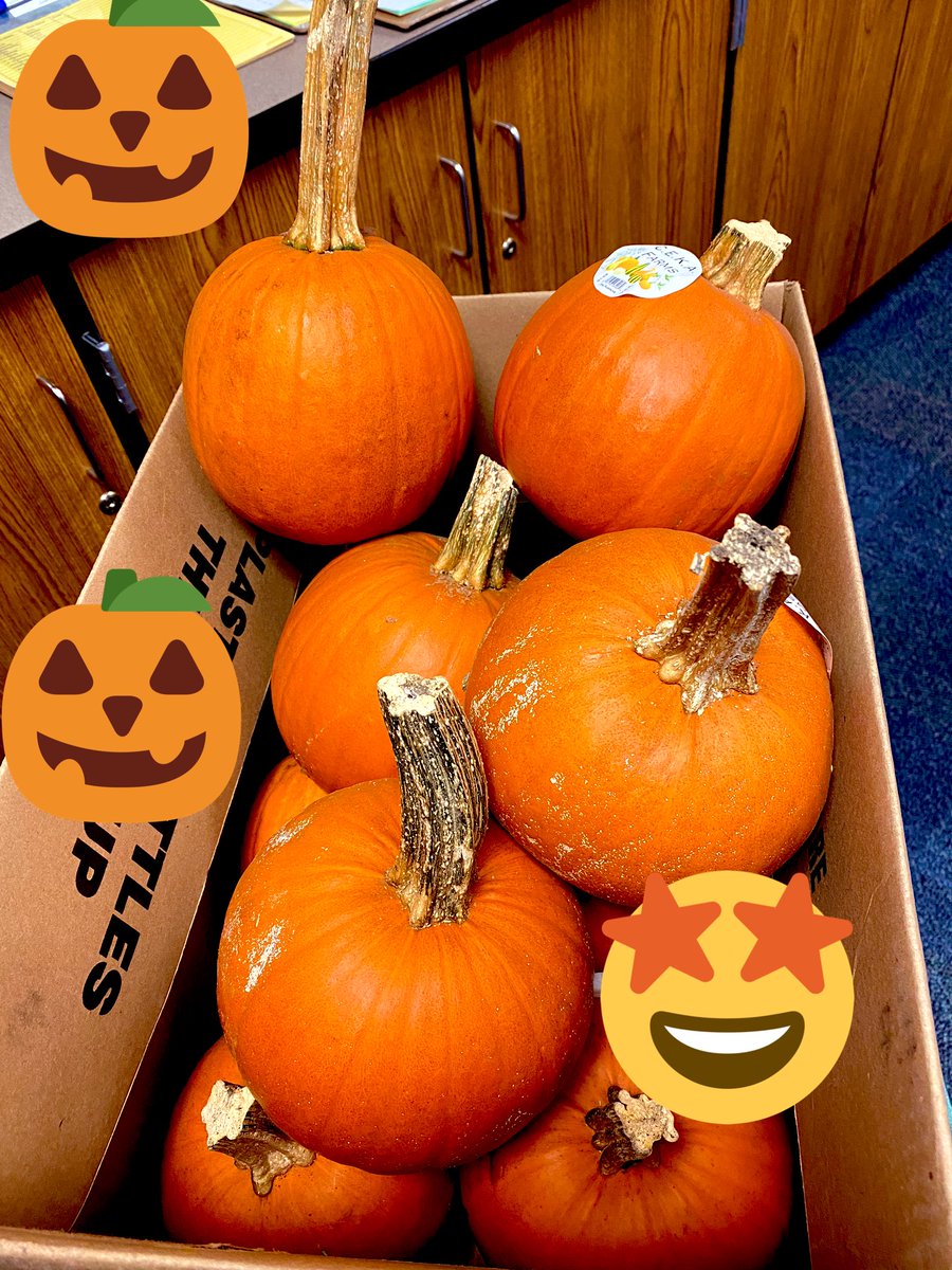 IkeUnify's tweet photo. Pumpkins ready to be distributed to our members for Monday’s activity...#halloween #magichappensinthemiddle @IkeEagleNews @D54Grizzlies @D54schools https://t.co/ffmNtBjtX9