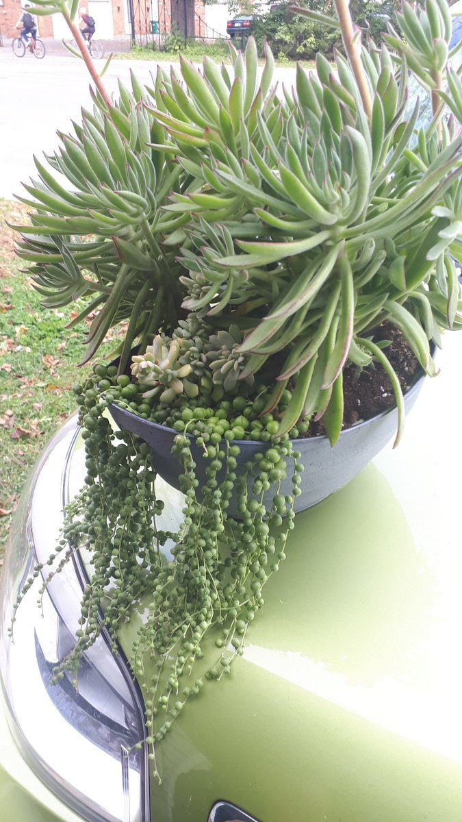 Today is a beautiful day for plants. Happy Friday!