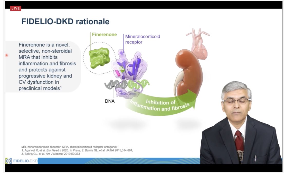 How does Finerenone work? (These Slides are from the ASN Kidney Week: High Impact Clinical Trial Session)