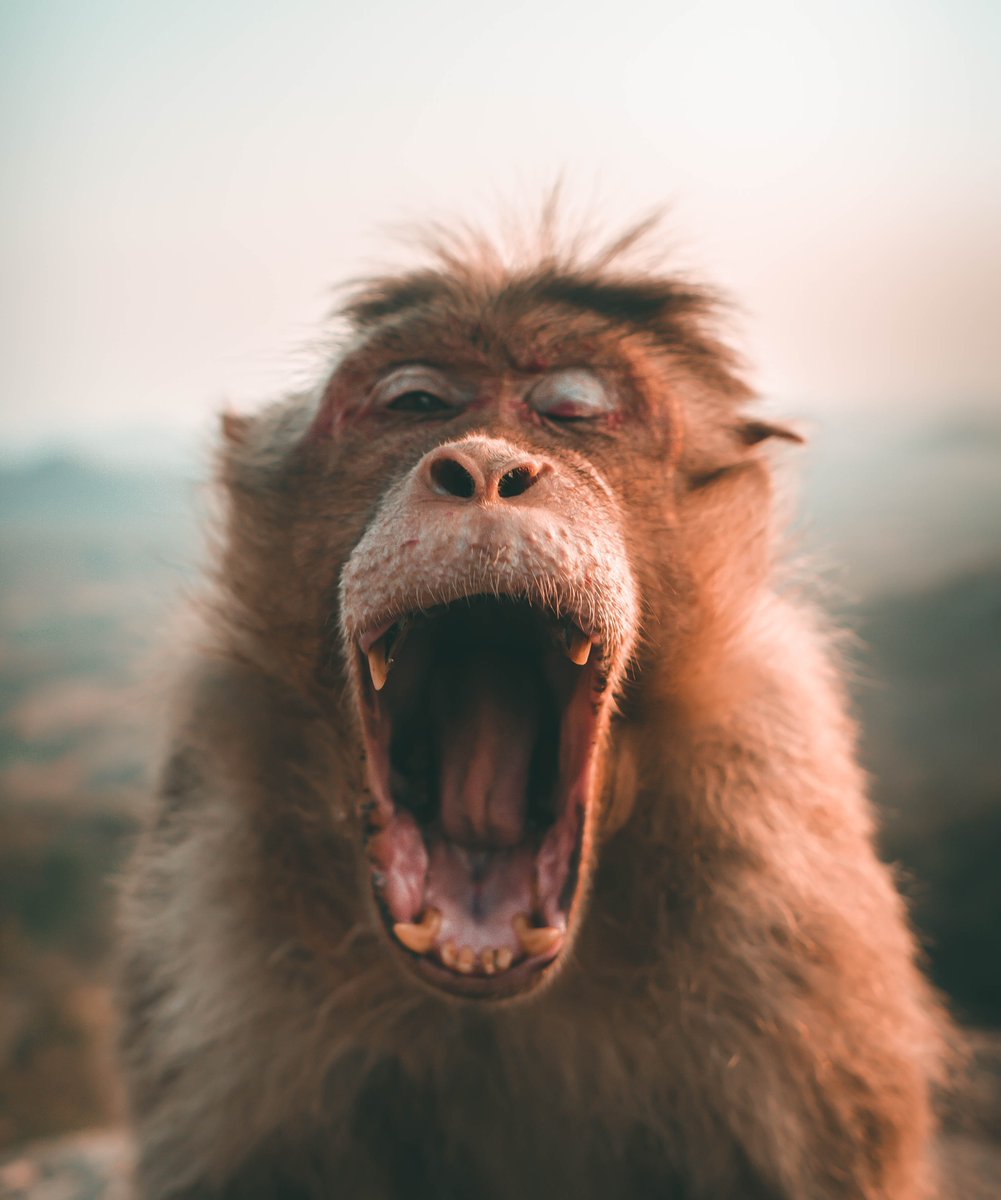 Good Morning and Happy Friday everyone!

#autumnvibes #fallvibes #powerofnow  #propertynews #beautifullife #yardwork #walldecor #JoyTrain #togetherness #being #lifecycle #ABetterUrbanFuture #overwhelmed #spirituality
#michigan