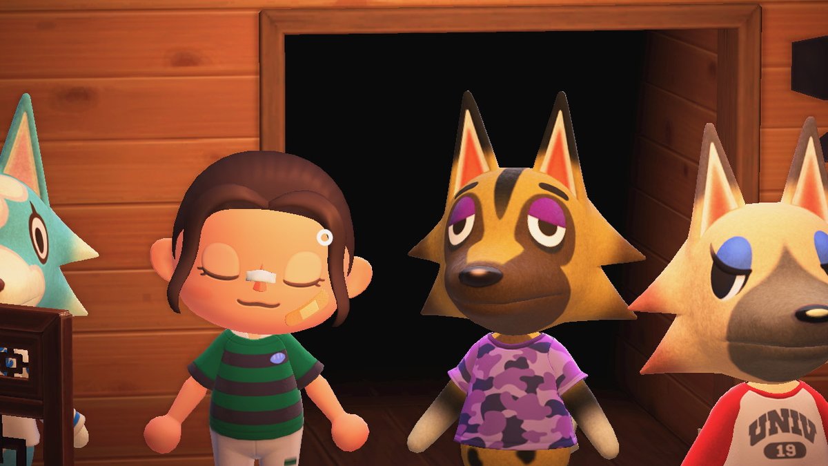 Whyymood's tweet photo. #AnimalCrossing #ACNH #NintendoSwitch https://t.co/3sFdXarH2L