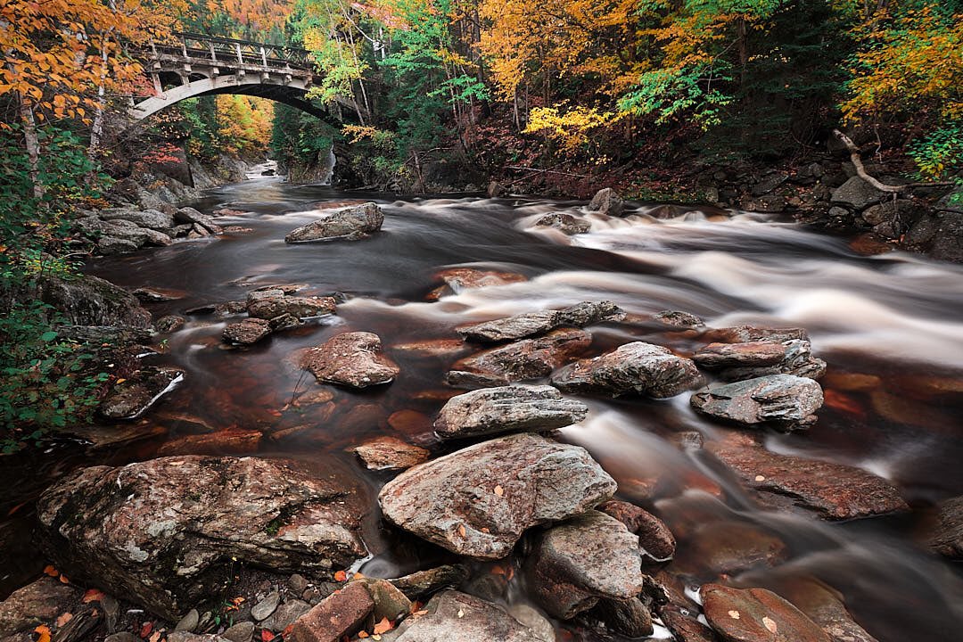 Scott Grant (@scottroninphoto) on Twitter photo The old bridge is definitely one of the āhalf hiddenā gems of Steady Brook! Iām back here 3-4 times a year at least!
#fujifilm #xt30 #xf1024 #classicnegative #steadybrook #oldbridge #westernnewfoundland #nisiv6 <a href="/fujiguys/">The Fuji Guys</a> The old bridge is definitely one of the āhalf hiddenā gems of Steady Brook! Iām back here 3-4 times a year at least!
#fujifilm #xt30 #xf1024 #classicnegative #steadybrook #oldbridge #westernnewfoundland #nisiv6 <a href="/fujiguys/">The Fuji Guys</a>