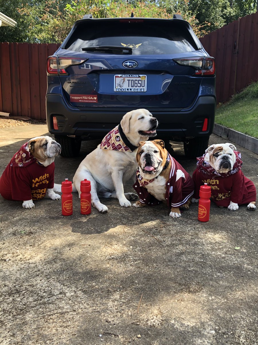 FSU_GAU's tweet photo. Happy #FuriendsFriday members! Show solidarity with your union (and #UnionDogs!) by coming to bargaining 🚨TODAY at 3:15! 🚨 
DM us for more info. https://t.co/ddrWssc0D4