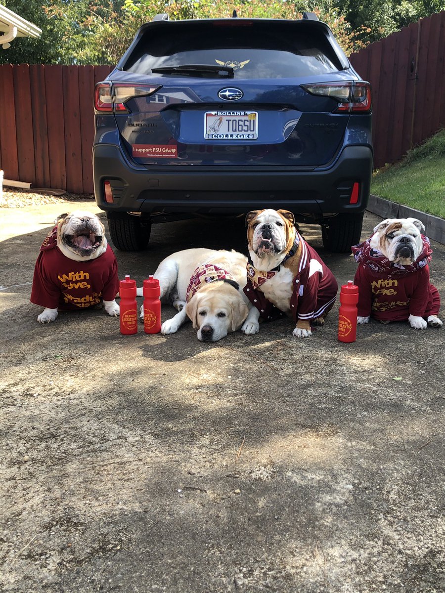 FSU_GAU's tweet photo. Happy #FuriendsFriday members! Show solidarity with your union (and #UnionDogs!) by coming to bargaining 🚨TODAY at 3:15! 🚨 
DM us for more info. https://t.co/ddrWssc0D4