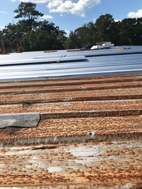 PJ_Callaghan_Co's tweet photo. Check out this side by side of the re-roof at Rite-Flo!
*
*
*
The team working on this job is killing it! 
#pjcallaghan #since1948 #reroof #stpetersburg #Florifa #generalcontractors #metalroofing #dunedin #construction 
#makingconstructioncoolagain https://t.co/3M5TwvgaTr