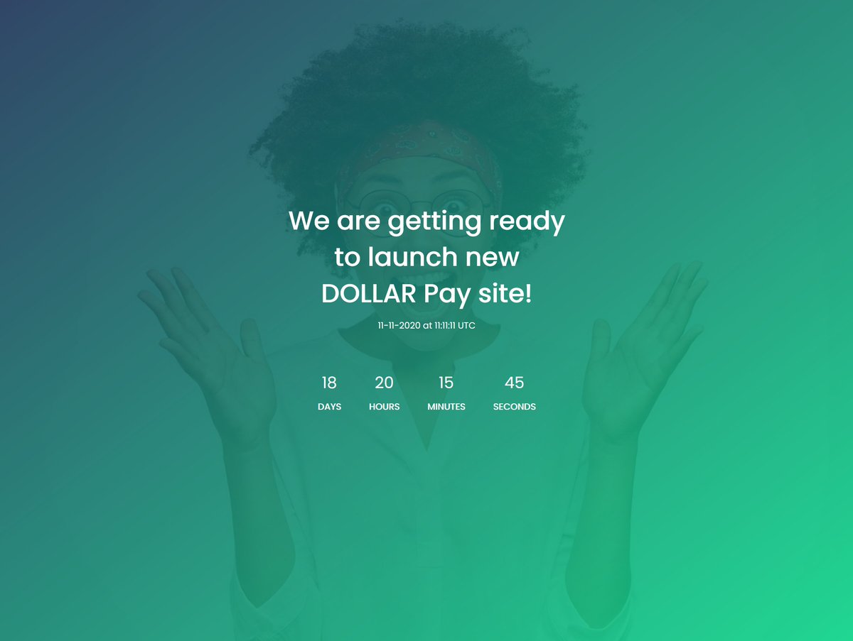 DollarInt's tweet photo. New era is coming with a brand new website and road map $DOLLAR https://t.co/eQmetvYUY8