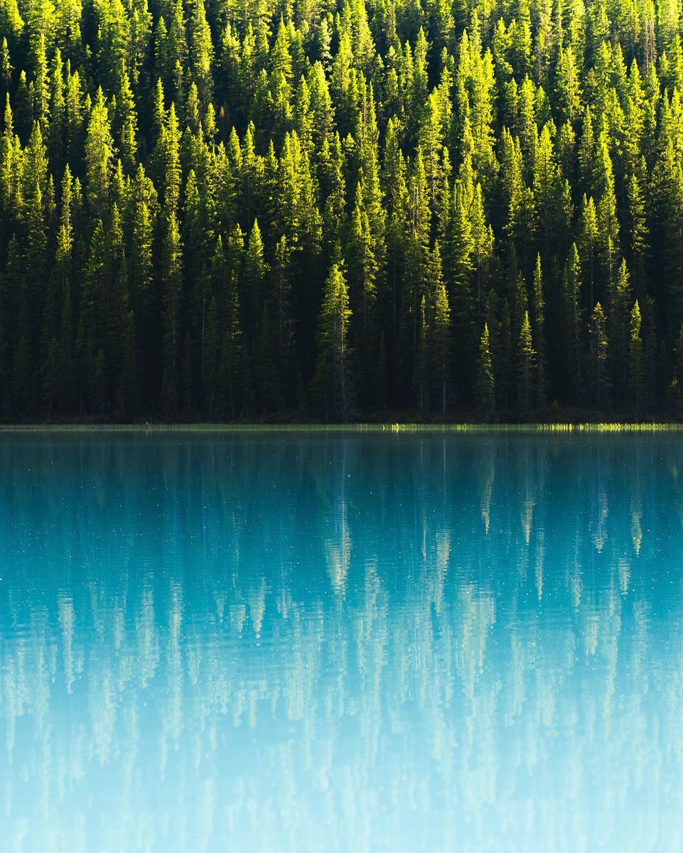 Und wieder ein Nationalpark den man bei der nächsten Nordamerika-Reise nicht auslassen sollte: Der Banff Nationalpark in Kanada!